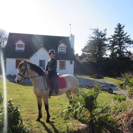 Letterfrack Farmhouse On Equestrian Farm In Letterfrack Beside Connemara National Park Tullywee Bridge Esterno foto