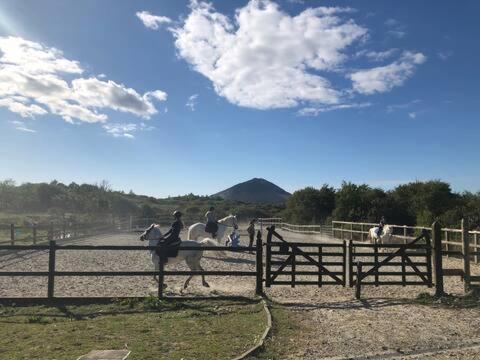 Letterfrack Farmhouse On Equestrian Farm In Letterfrack Beside Connemara National Park Tullywee Bridge Esterno foto