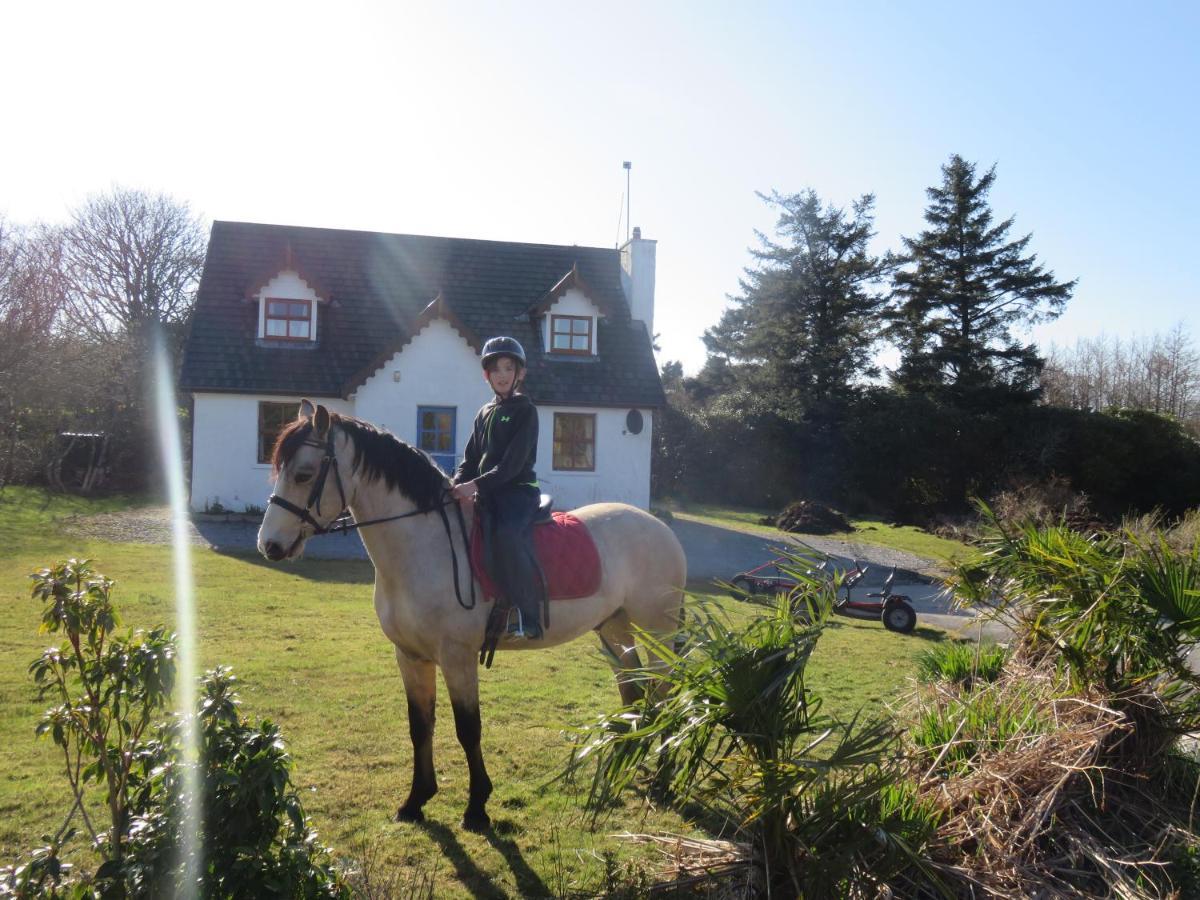 Letterfrack Farmhouse On Equestrian Farm In Letterfrack Beside Connemara National Park Tullywee Bridge Esterno foto