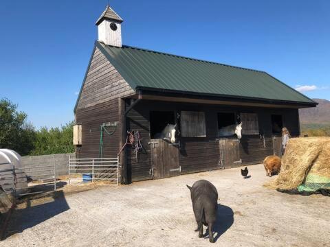 Letterfrack Farmhouse On Equestrian Farm In Letterfrack Beside Connemara National Park Tullywee Bridge Esterno foto