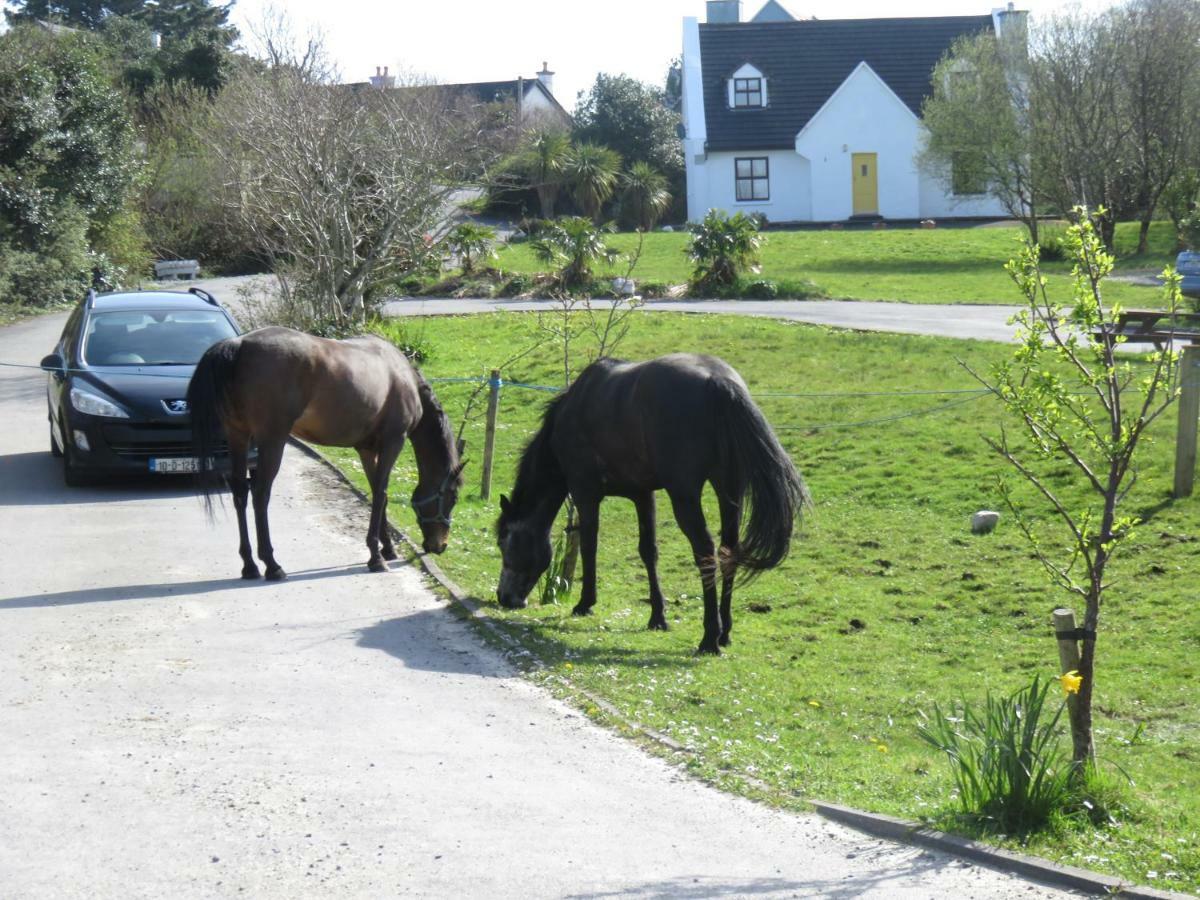 Letterfrack Farmhouse On Equestrian Farm In Letterfrack Beside Connemara National Park Tullywee Bridge Esterno foto