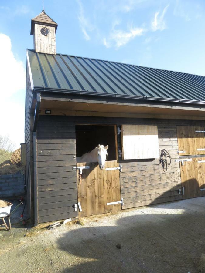 Letterfrack Farmhouse On Equestrian Farm In Letterfrack Beside Connemara National Park Tullywee Bridge Esterno foto